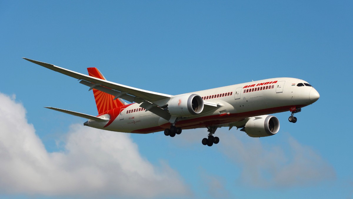 Bagaglio a mano Air India